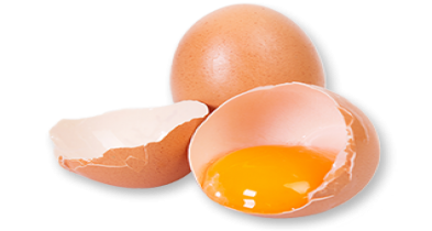 Proizvodi od jaja